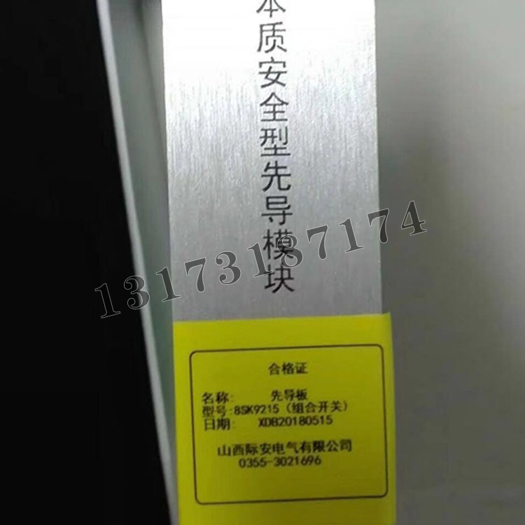 先導板8SK9215本質(zhì)安全型先導模塊（組合開關）|山西際安電氣有限公司
